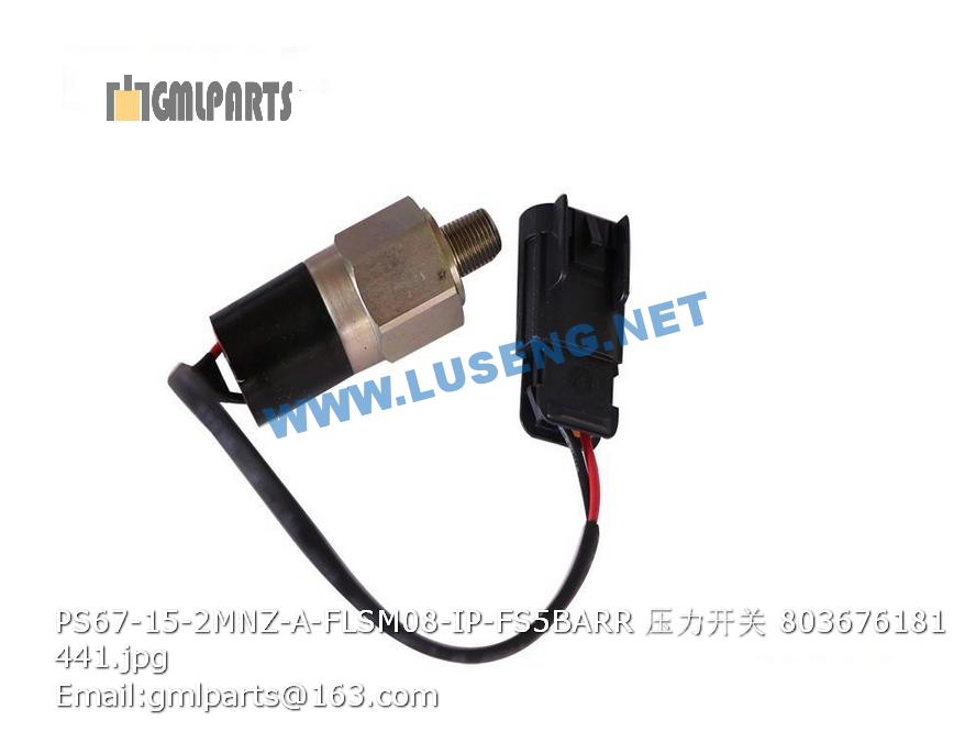803676181 PS67-15-2MNZ-A-FLSM08-IP-FS5BARR Switch – LUSENG 803676181 PS67-15-2MNZ-A-FLSM08-IP-FS5BARR Switch – LUSENG
