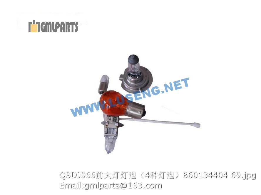 860134404 QSDJ066 bulb xcmg – LUSENG