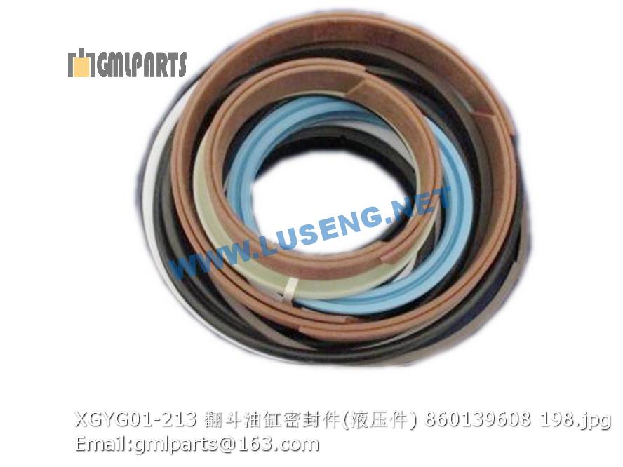860139608 XGYG01-213 XCMG DUMP CYLINDER SEALS ZL50GV – LUSENG