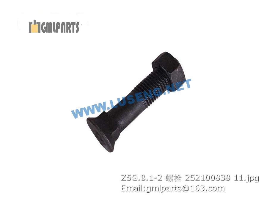 252100838 Z5G.8.1-2 BOLT XCMG – LUSENG