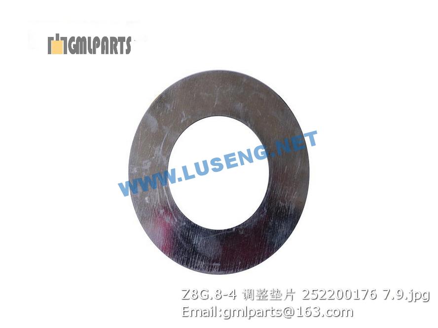 252200176 Z8G.8-4 SHIM – LUSENG