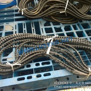 ,02234343 deutz weichai belt