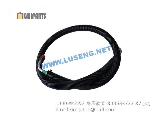 ,1000395592 HOSE 803588722