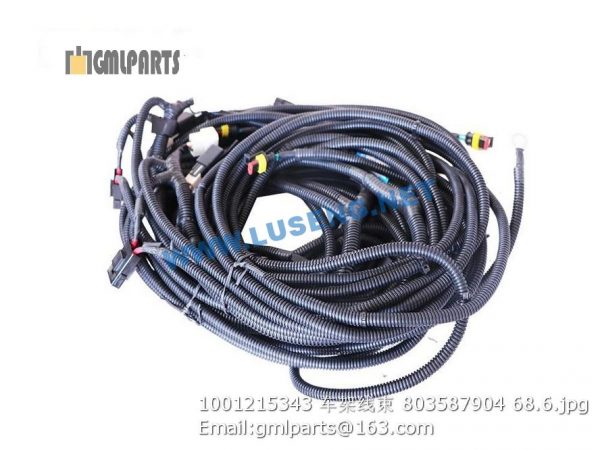 ,1001215343 frame harness 803587904