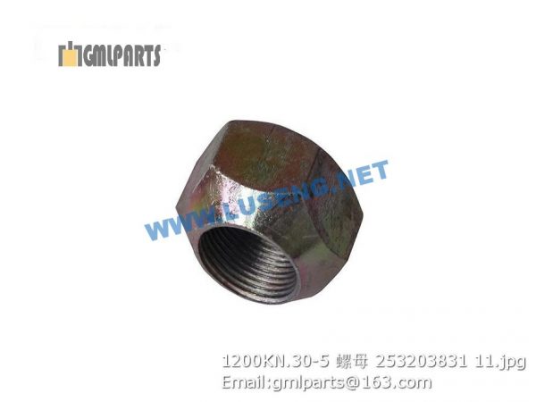 ,253203831 1200KN.30-5 NUT