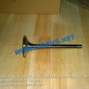 ,12159608 EXHAUST VALVE 4110000054215 4110000909080 SP105244 SP105389 W010250700