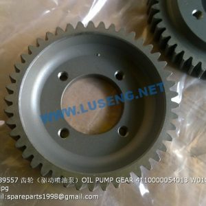 ,12189557 OIL PUMP GEAR 4110000054013 W010250790