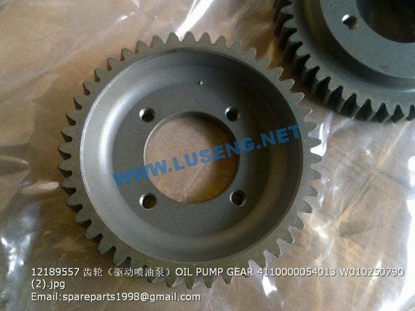 ,12189557 OIL PUMP GEAR 4110000054013 W010250790