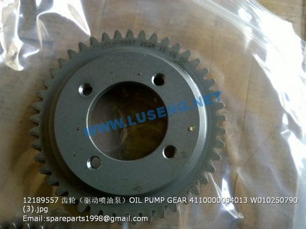 12189557 OIL PUMP GEAR 4110000054013 W010250790 - Image 2