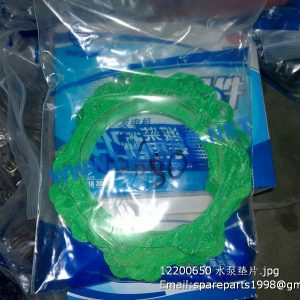 ,12200650 water pump gasket 4110000189026 SP105399 W47070168