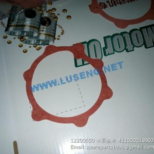 ,12200650 WATER PUMP GASKET 4110000189026