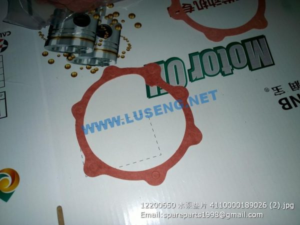 ,12200650 WATER PUMP GASKET 4110000189026