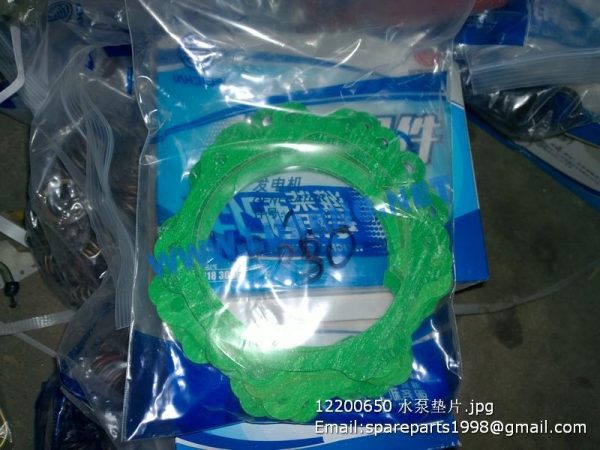 ,12200650 water pump gasket 4110000189026 SP105399 W47070168