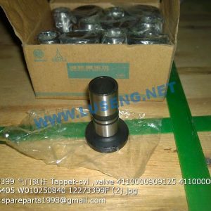 ,12273399 Tappet-cyl ,valve 4110000909125 4110000054292 SP105405 W010250840 12273399F