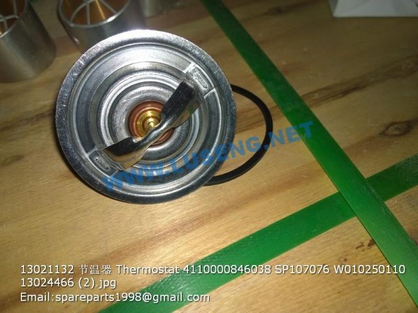 13021132 Thermostat 4110000846038 SP107076 W010250110 13024466 - Image 2