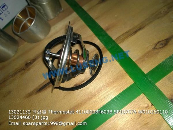 ,13021132 Thermostat 4110000846038 SP107076 W010250110 13024466