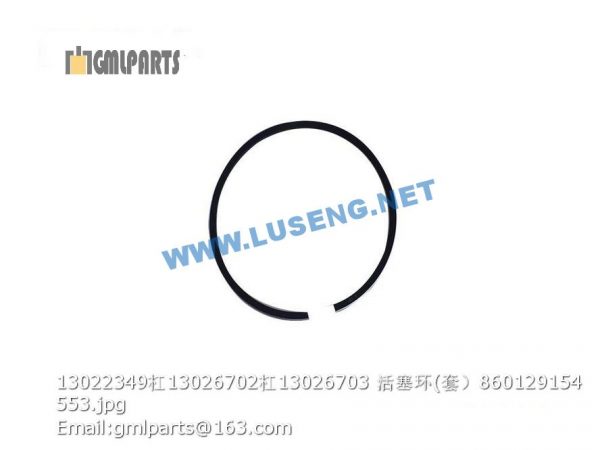 ,860129154 13022349/13026702/13026703 PISTON RING