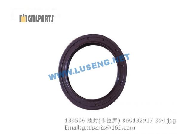 ,860132917 133566 OIL SEAL