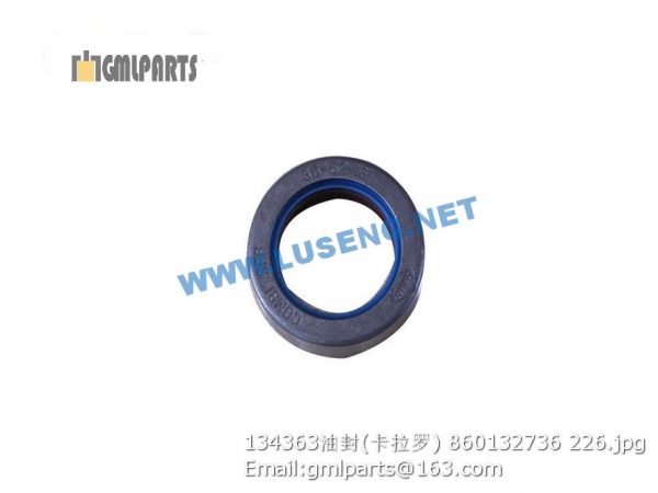 ,860132736 134363 OIL SEAL