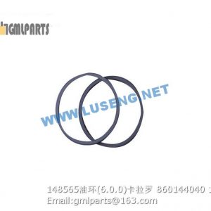 ,860144040 148565 OIL SEAL