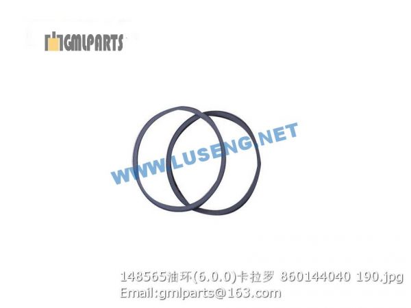 ,860144040 148565 OIL SEAL