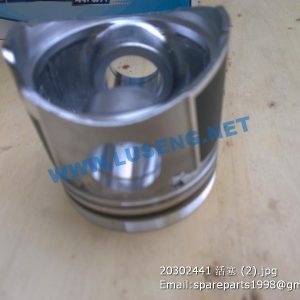 ,2030244/1 yangchai piston