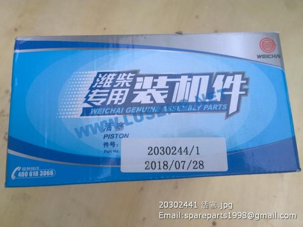 2030244/1 yangchai piston - Image 4