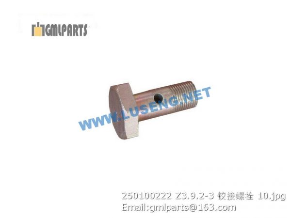 ,250100222 Z3.9.2-3 BOLT