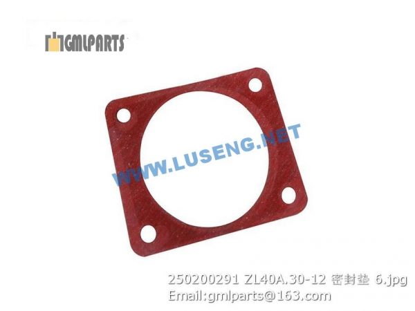 ,250200291 ZL40A.30-12 gasket