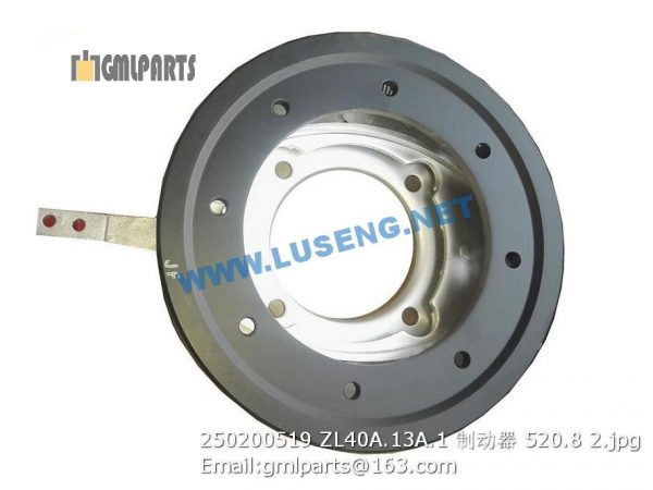 250200519 ZL40A.13A.1 ARRESTER - Image 2