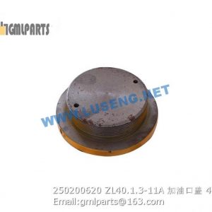 ,250200620 ZL40.1.3-11A Cover