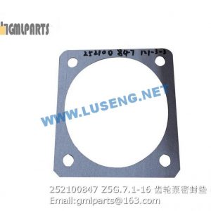 ,252100847 Z5G.7.1-16 Seal packing