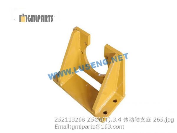 ,252113268 Z5GN(T).3.4 Bracket