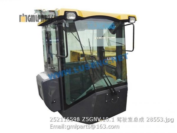 ,252116598 Z5GNV.10.1 CAB ASSY