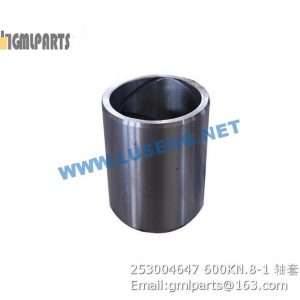 ,253004647 600KN.8-1 BUSHING