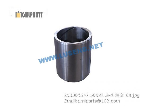 ,253004647 600KN.8-1 BUSHING