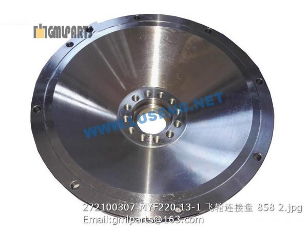 272100307 MYF220.13-1 Adapter flexplate - Image 2