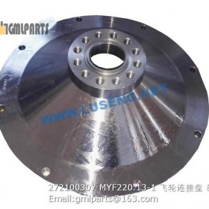 ,272100307 MYF220.13-1 Adapter flexplate