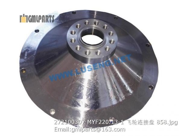 ,272100307 MYF220.13-1 Adapter flexplate