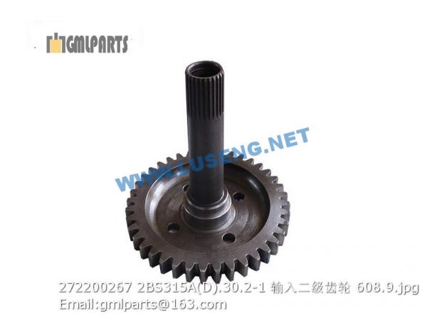 ,272200267 2BS315A(D).30.2-1 Secondary Stage Input Gear