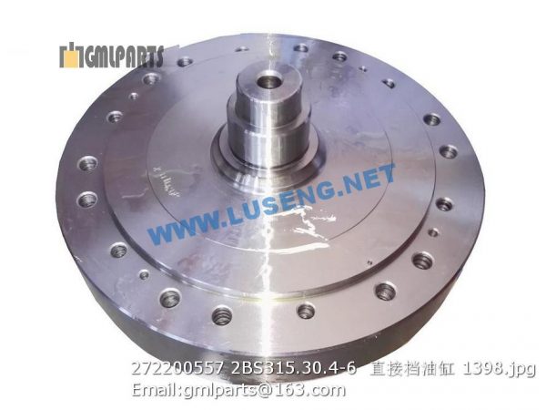 272200557 2BS315.30.4-6  Direct forward cylinder - Image 2