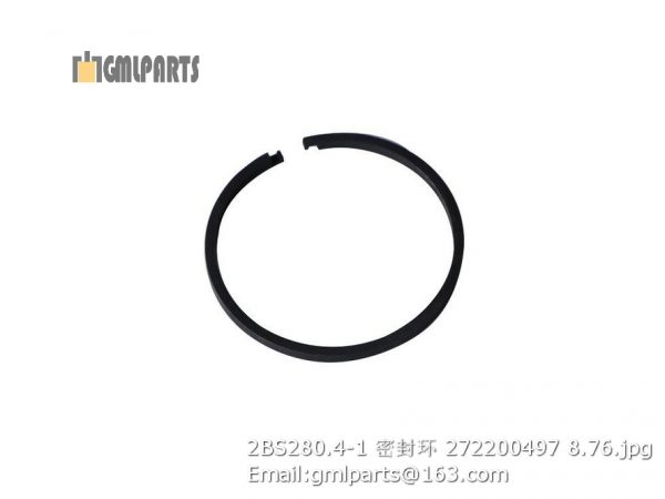 ,2BS280.4-1 seal ring 272200497