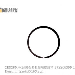 ,2BS280.4-1A snap ring 272200599