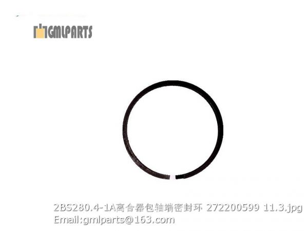 ,2BS280.4-1A snap ring 272200599