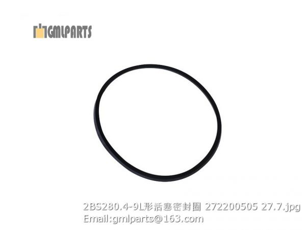 ,2BS280.4-9 piston ring 272200505