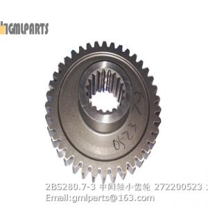 ,2BS280.7-3 middle shaft gear 272200523