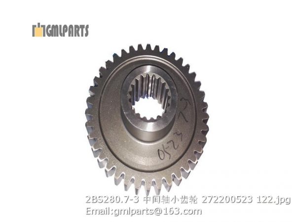 ,2BS280.7-3 middle shaft gear 272200523