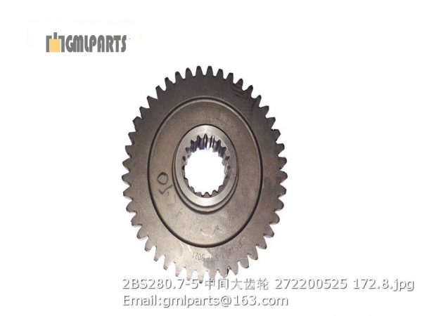 ,2BS280.7-5 middle shaft gear 272200525