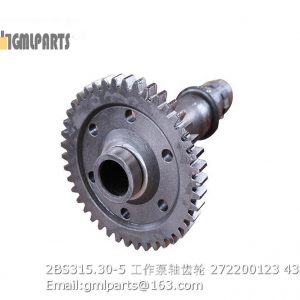 ,2BS315.30-5 Working Pump Shaft Gear 272200123 2BS315A SPARE PARTS