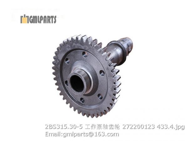 ,2BS315.30-5 Working Pump Shaft Gear 272200123 2BS315A SPARE PARTS
